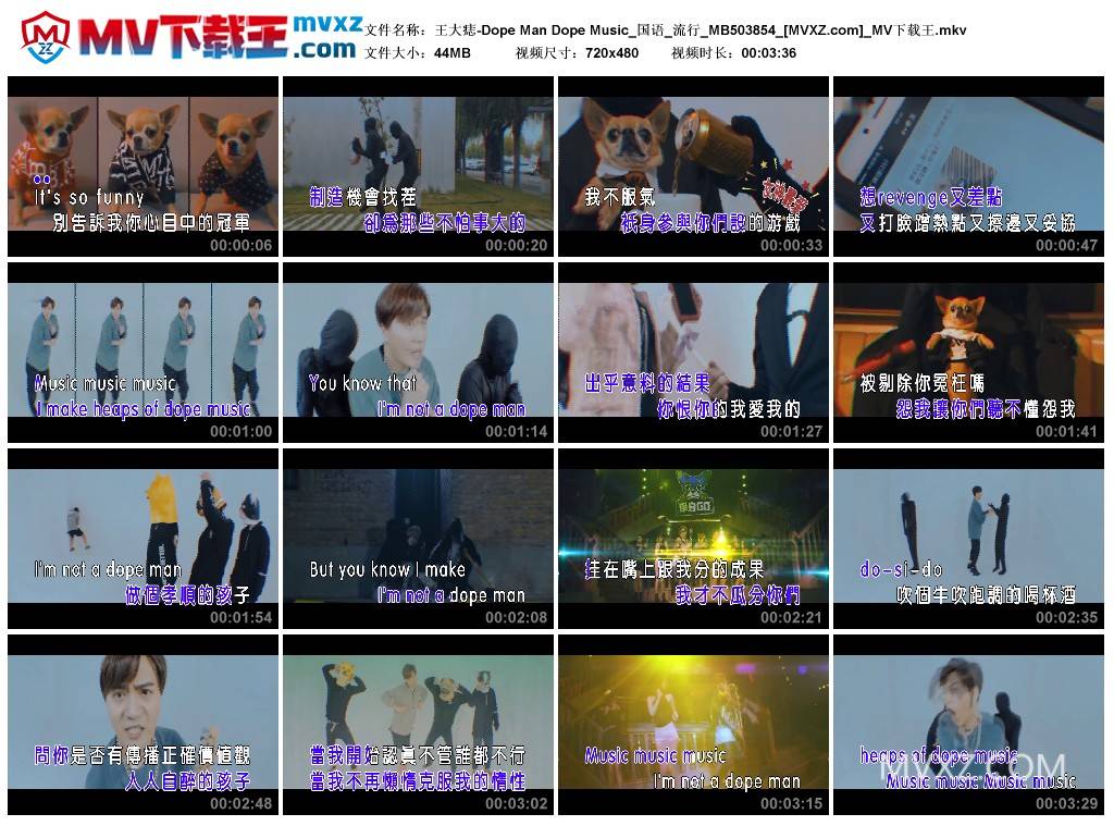 王大痣-Dope Man Dope Music_国语_流行_MB503854